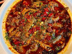 -情妹耙泥鳅·江湖川菜(科华店)