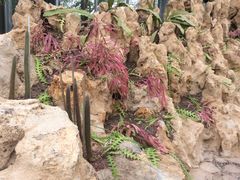 -南通洲际绿博园