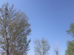 -大鹅岛灶台鱼·铁锅炖(水库路店)