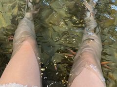 -天目湖涵田度假村