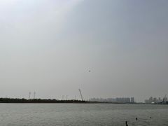 -海河外滩公园