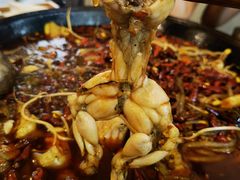 -鸿顺老铁锅美蛙鱼府(解放碑店)