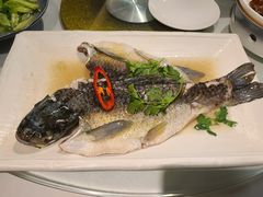 从化山泉水鲩鱼-朱仔记食府(江南大道店)
