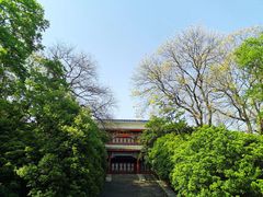 -灵谷景区