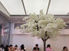 -艾薯夫妇Aysh(福田星河COCOPark店)