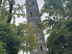 -上海佘山国家森林公园天马山园