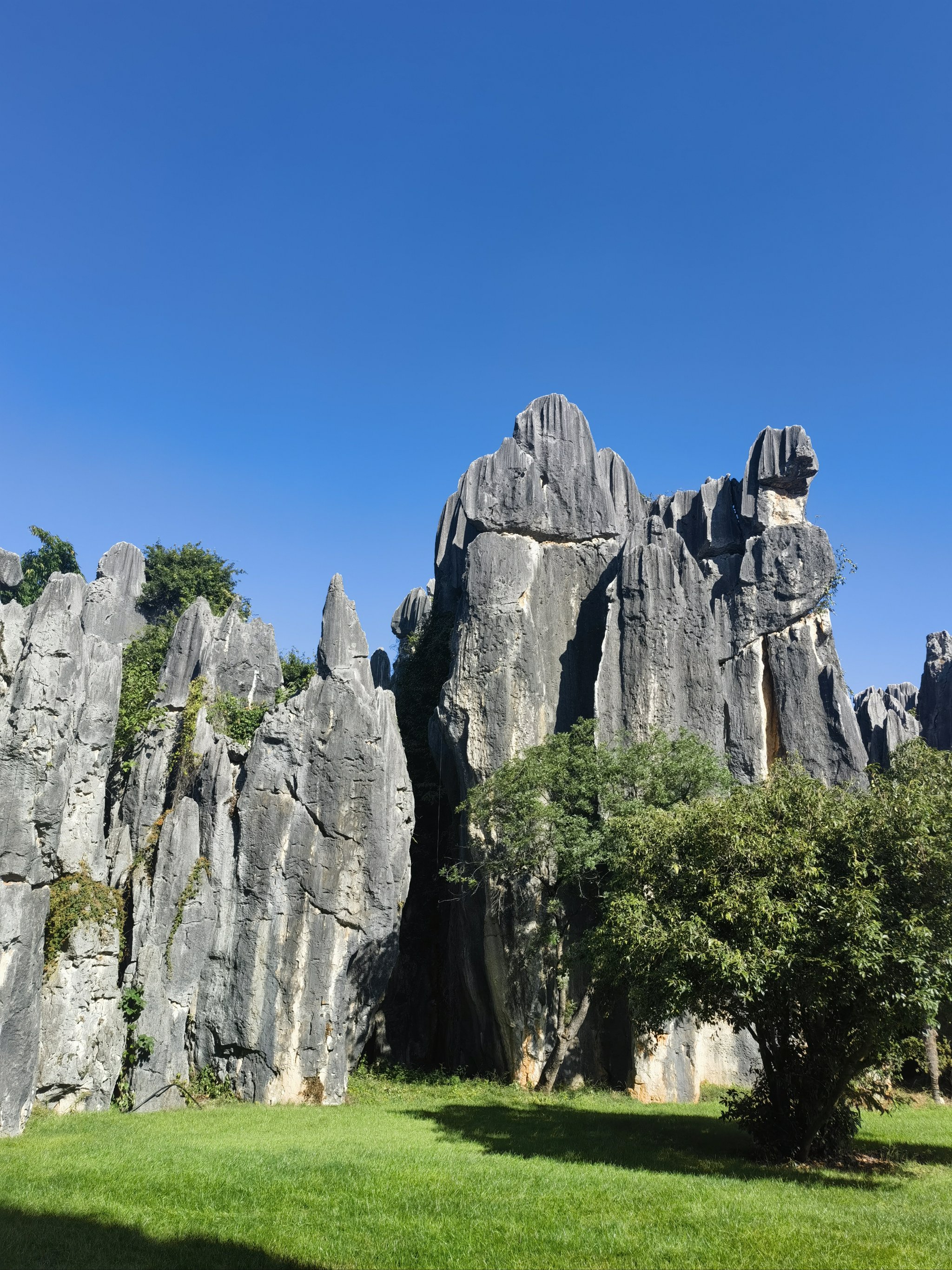 云南石林风景区介绍图片