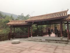 -铁山坪森林公园