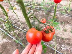 -兴芮温泉度假区