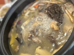 -蘑统田下·野生菌火锅