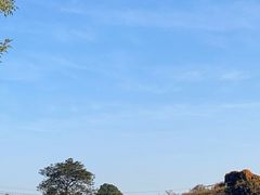 -天适樱花悠乐园