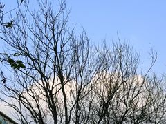 -盐井记·自贡美蛙鲜锅兔(中和店)