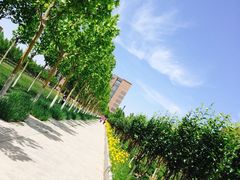 -天津现代职业技术学院