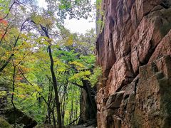 -五女峰国家森林公园