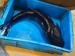 -旭龙鱼头王(航华店)