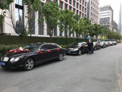 -蚂蚁婚车