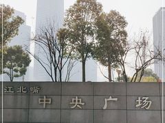 -重庆市江北嘴中央商务区中央公园