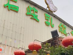 -石岐乳鸽村(桥观坊南四巷店)