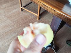 -南汇新场正宗水蜜桃采摘