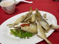 -蛇口康乐快餐鱼仔档(翠苑小区店)