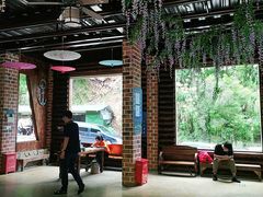 -将军关探险漂流