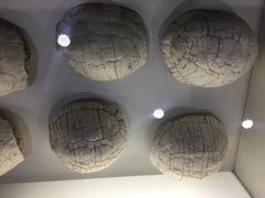 -中国第四纪冰川遗迹陈列馆