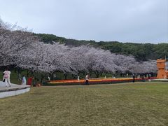 -苏州上方山国家森林公园