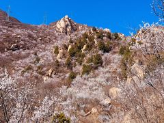 -北京凤凰岭