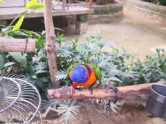 -南宫五洲植物乐园