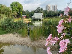 -香蜜公园