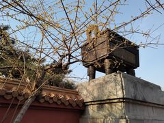 -戏马台景区