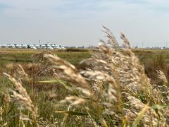 -敕勒川草原文化旅游区