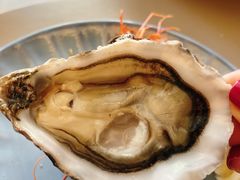 -斯普汇生蚝牛排馆(中骏世界城店)