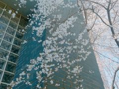 -南京晓庄学院(莫愁校区)