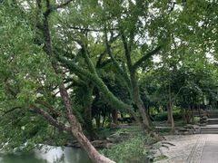 -大罗山风景区