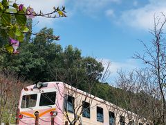 -小南山公园