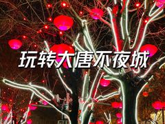 -大唐不夜城