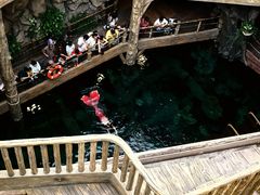 -长鹿旅游休博园