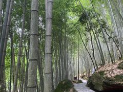 -黄山翡翠谷景区