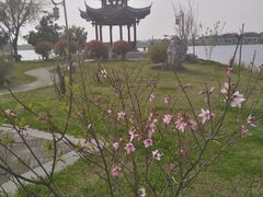 -天屿湖