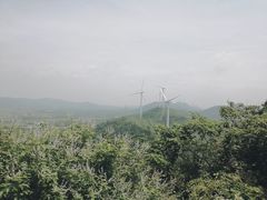 -合肥滨湖国家森林公园