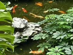 -广州白天鹅宾馆