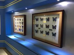 -上海昆虫博物馆