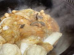 -桃源村铁锅炖鱼(体育馆道店)