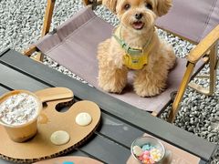 -J Create城市露营咖啡·简餐·宠物(上海动物园店)