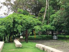 -深圳市罗湖体育馆