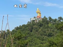 -南山植物园