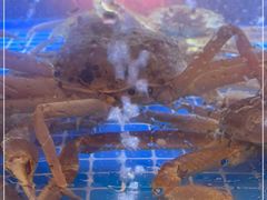 水产区-炙牛道烧肉专门店(佳成大厦店)