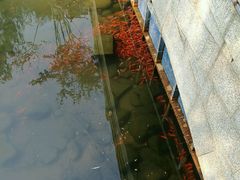 -白马涧龙池景区