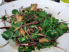 -金穗-老荣成·荣成菜